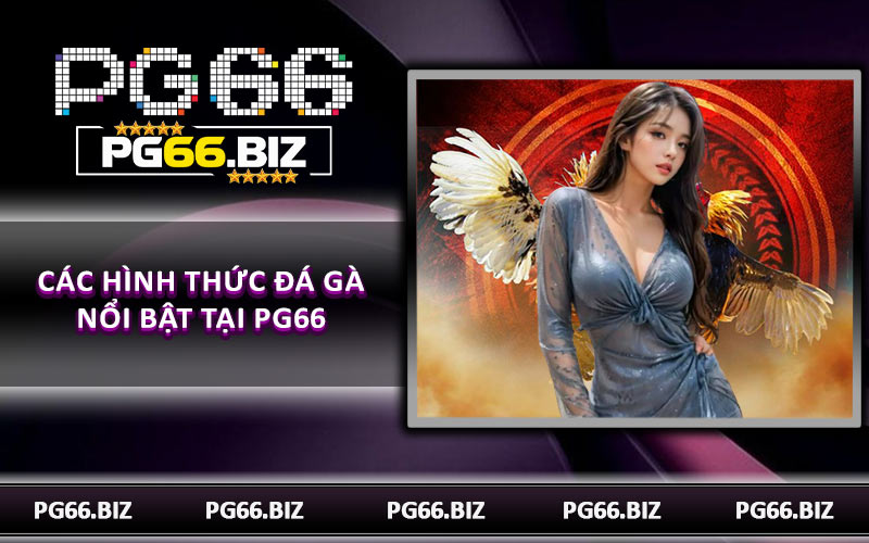 Các hình thức đá gà nổi bật tại PG66