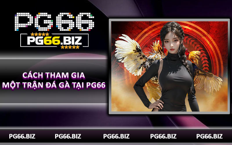 Cách tham gia một trận đá gà tại PG66