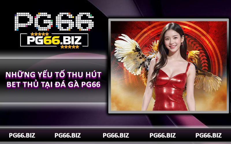 Những yếu tố thu hút bet thủ tại đá gà PG66