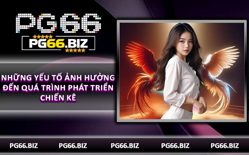 Những yếu tố ảnh hưởng đến quá trình phát triển chiến kê